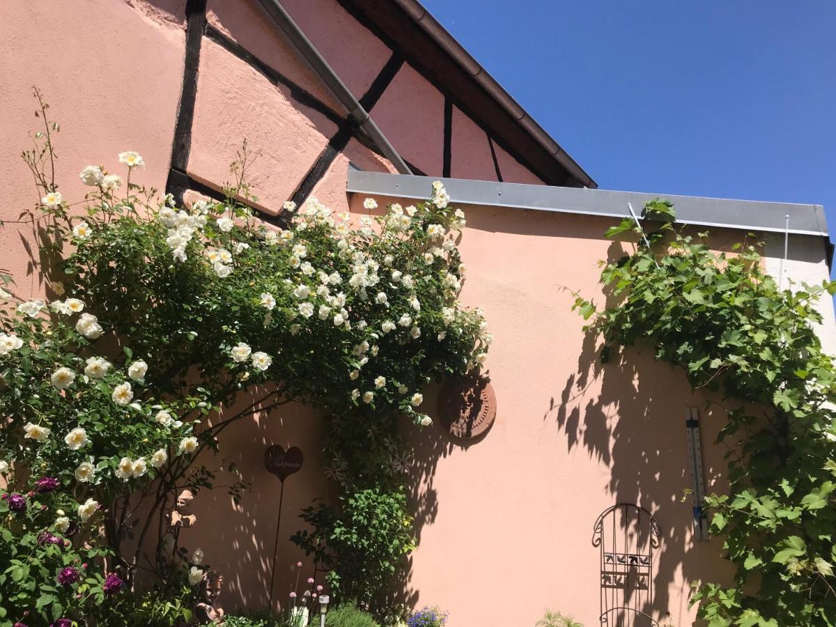Haus Am Markt Königstein in der Oberpfalz Exterior foto